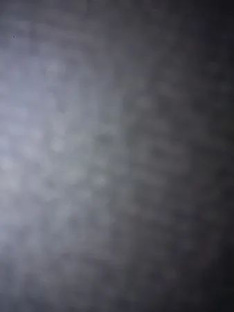 123322