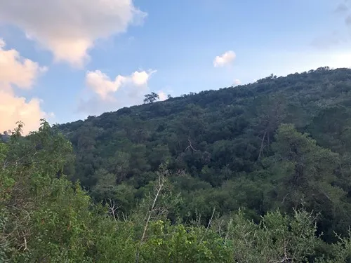 brsisr1 