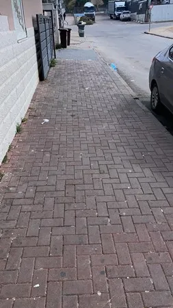 מאו מאו זין 