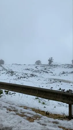 זין ענק מאוד מא