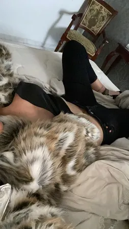 לולי....