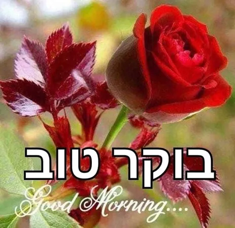 علاد
