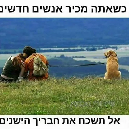 למיד