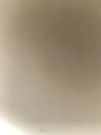 SnaiHuehani22