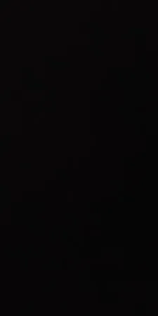 Dan44444