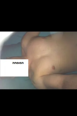 נייסדוק