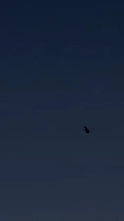 I am coming 