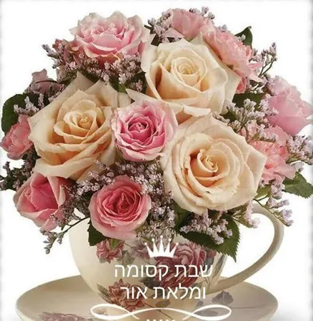 Aviel2121 