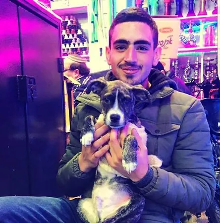 EliiB