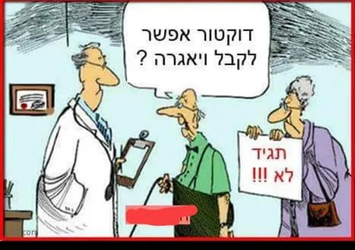 דוב69