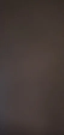 avi12344