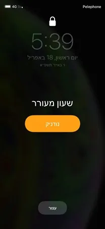 בןב24