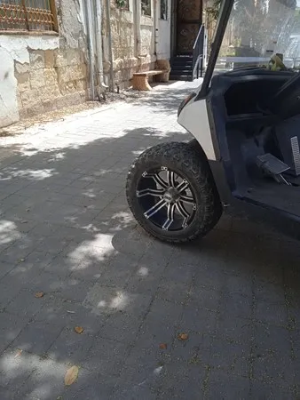 Namr29