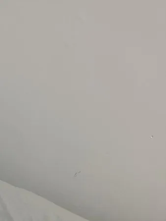 Zaksex