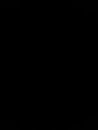 יעקוב1212