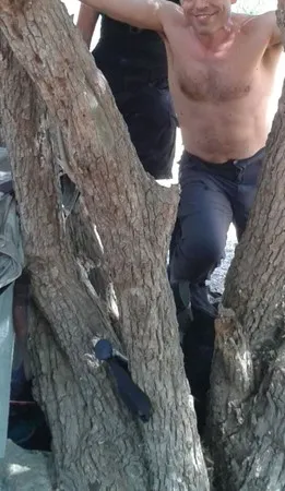 הנשר הכחול