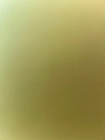 תורגג