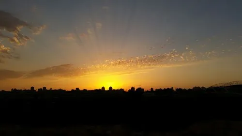 אריק 1123