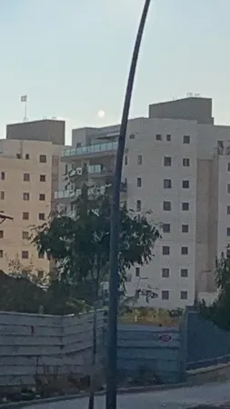 מגיב 