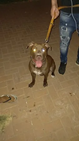 4555454545