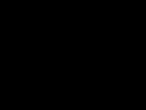 רוי1895