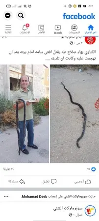 ניסים12344