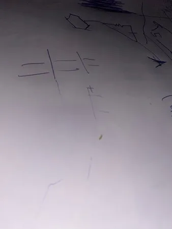 מאגה