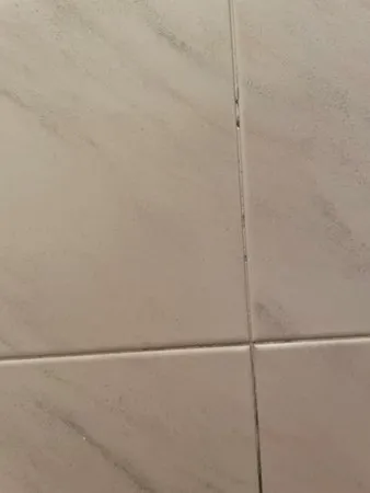 Papii