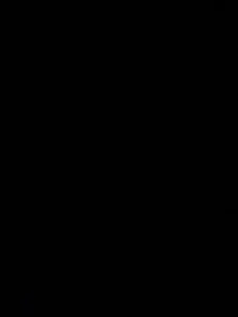 Rarrrr200