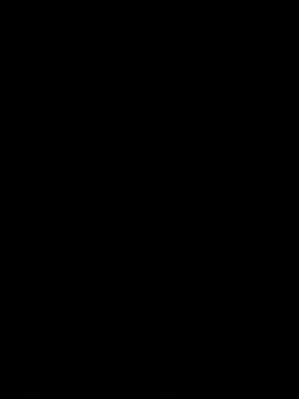 גים31