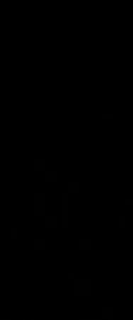 Thekinghta