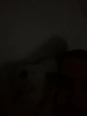 Kink3000