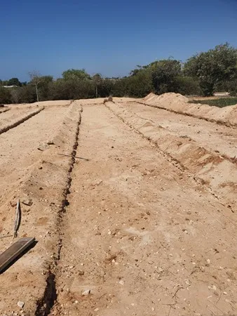 עמריח