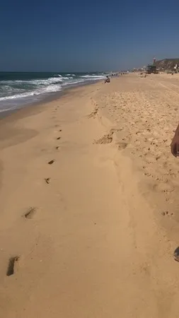 יייעל