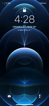 השור השחור 