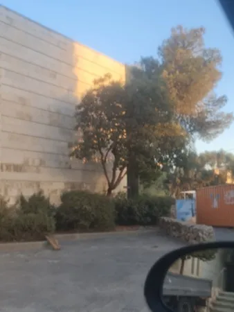 זוהיר זוהר
