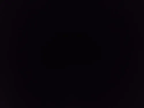 euri1212