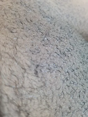 Mamtak1