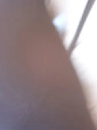Martinos