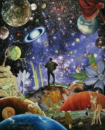 Space visitor