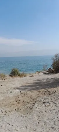 ערום בים