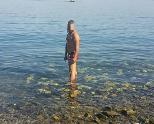    הברזיליאי
