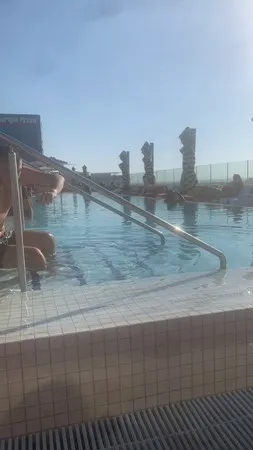 גוי בוי