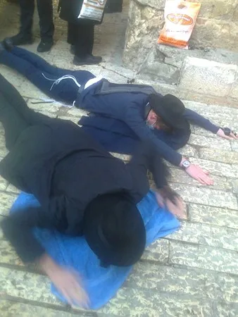 מומו שמולי