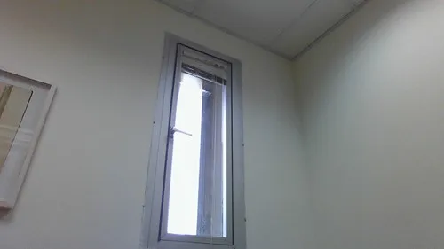 גועל נפש