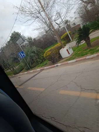 MoHmamh