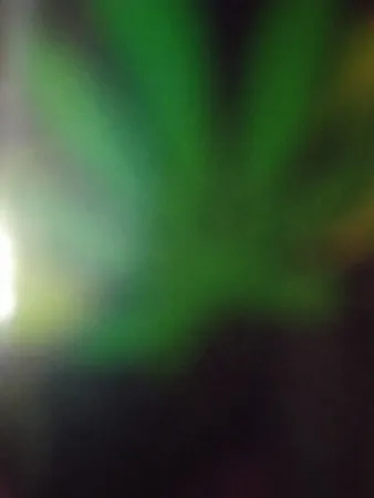 Alyahomo