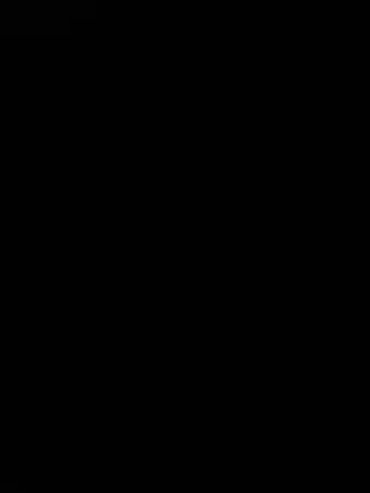 אמיר וסים