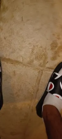 אביהסקסי