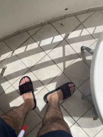 הממיס1